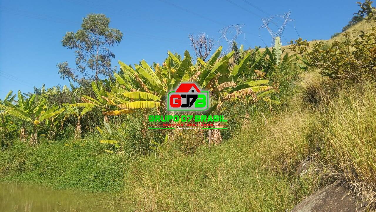 Terreno, 6 hectares - Foto 7