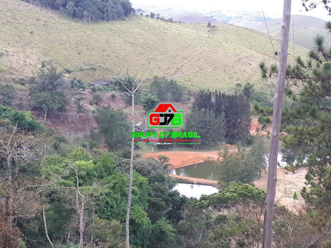 Sítio, 4 quartos, 300 m² - Foto 30