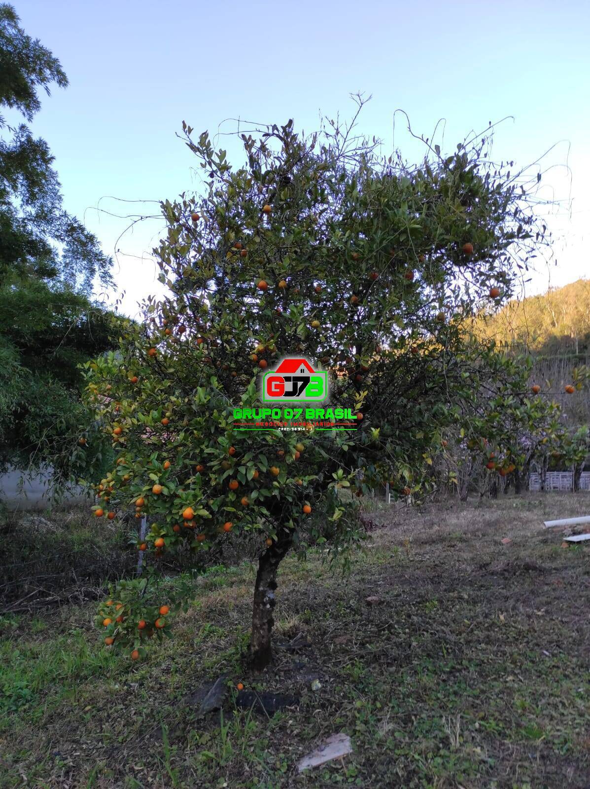Terreno à venda com 2 quartos, 60m² - Foto 4