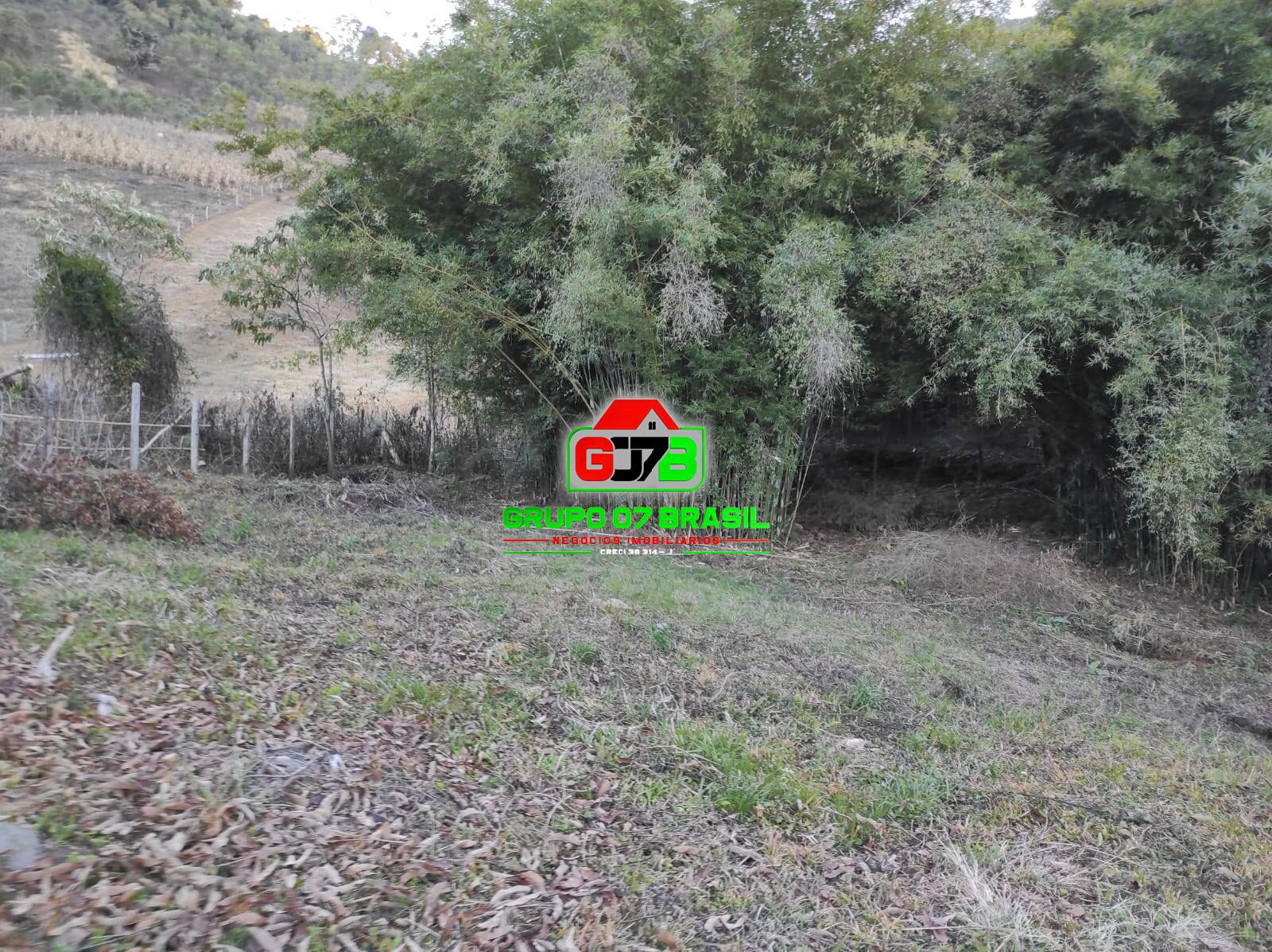 Terreno à venda com 2 quartos, 60m² - Foto 6