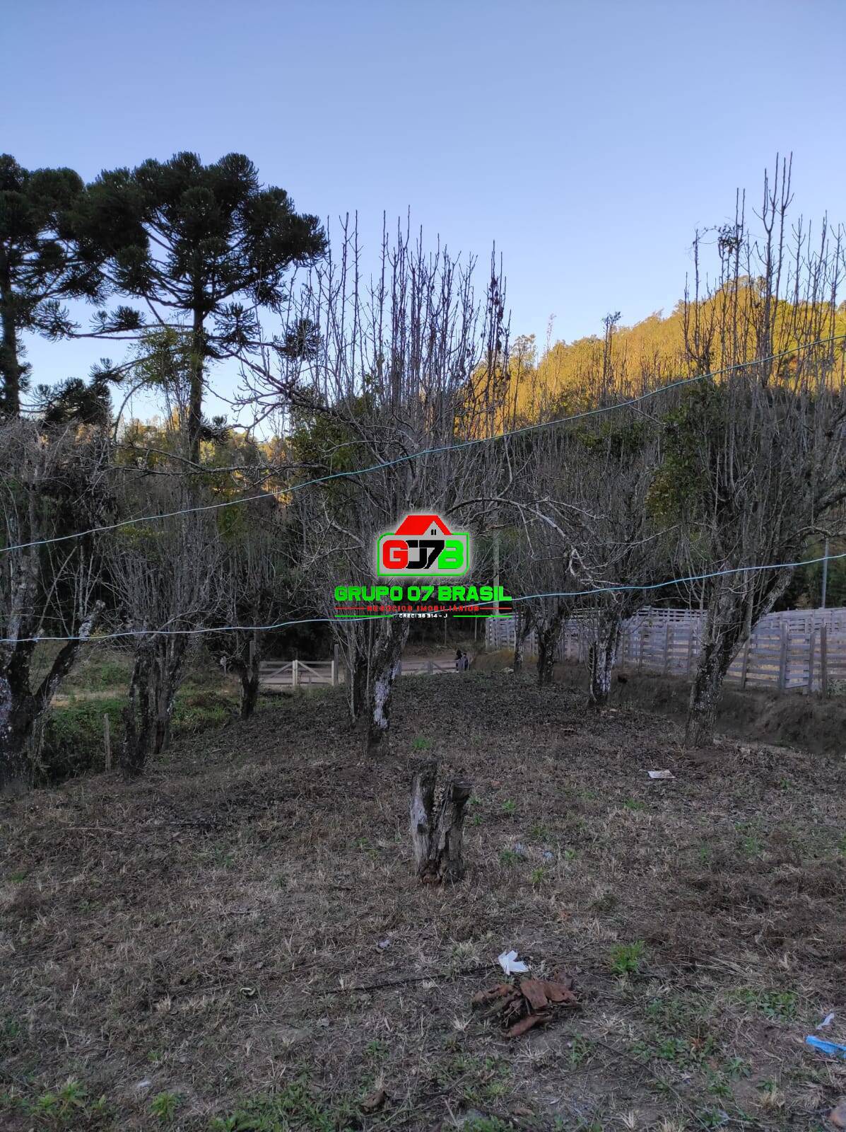 Terreno à venda com 2 quartos, 60m² - Foto 5