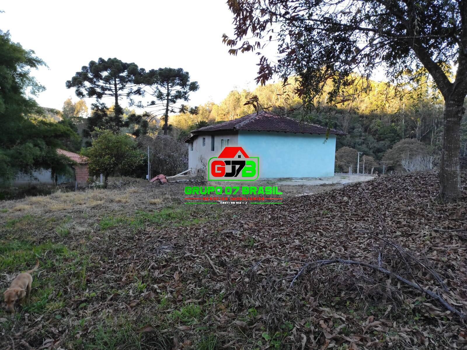 Terreno à venda com 2 quartos, 60m² - Foto 9