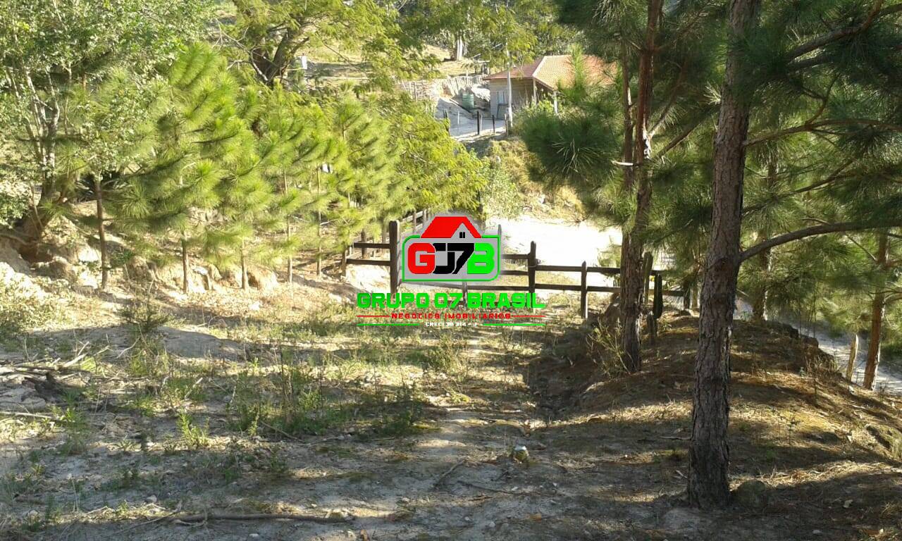 Terreno - Foto 2
