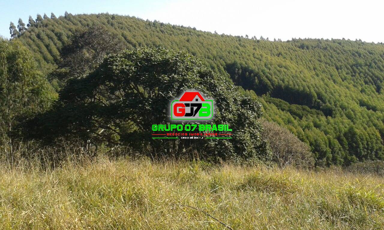 Terreno - Foto 6