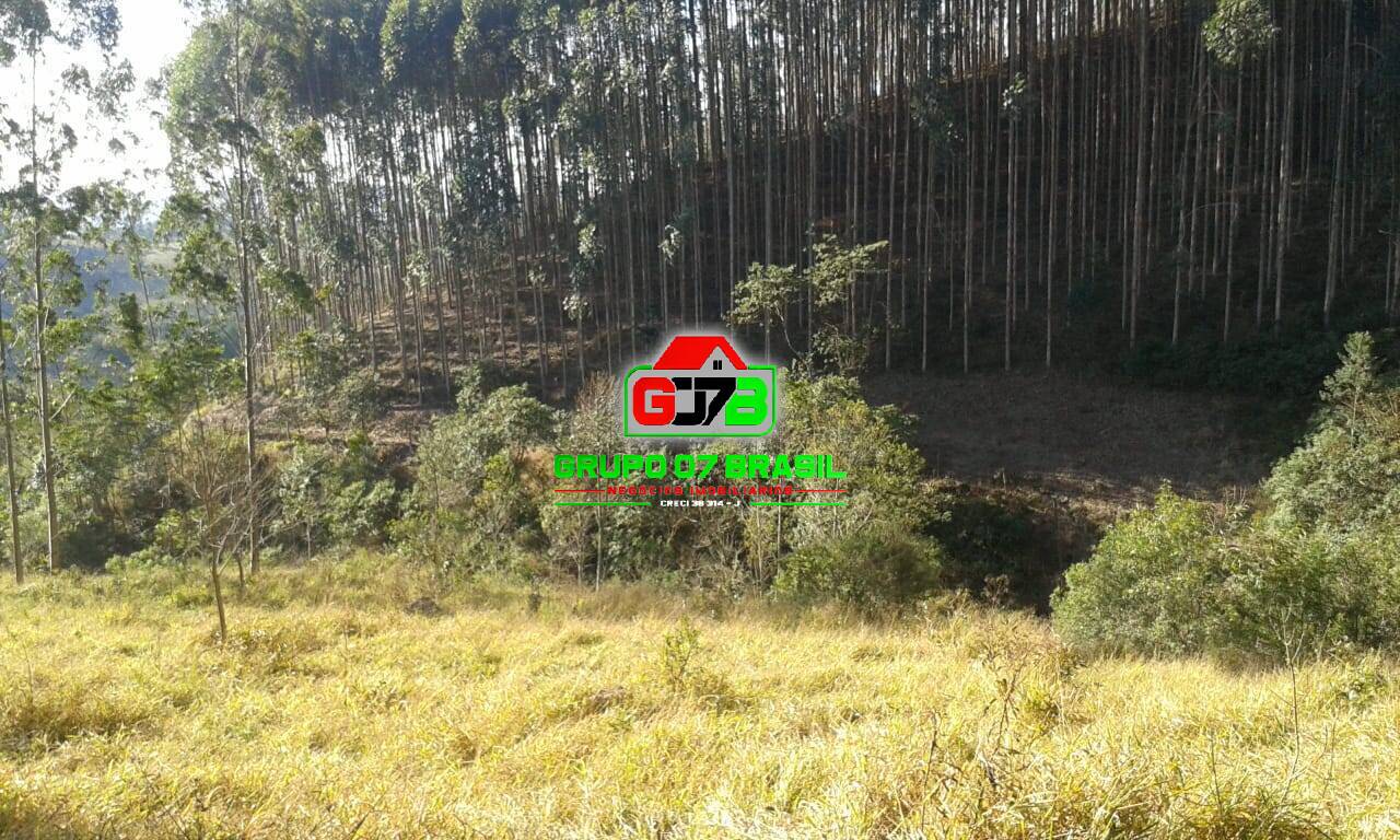 Terreno - Foto 13