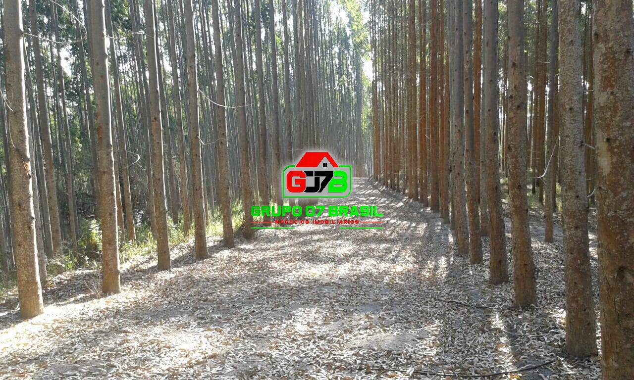Terreno - Foto 15