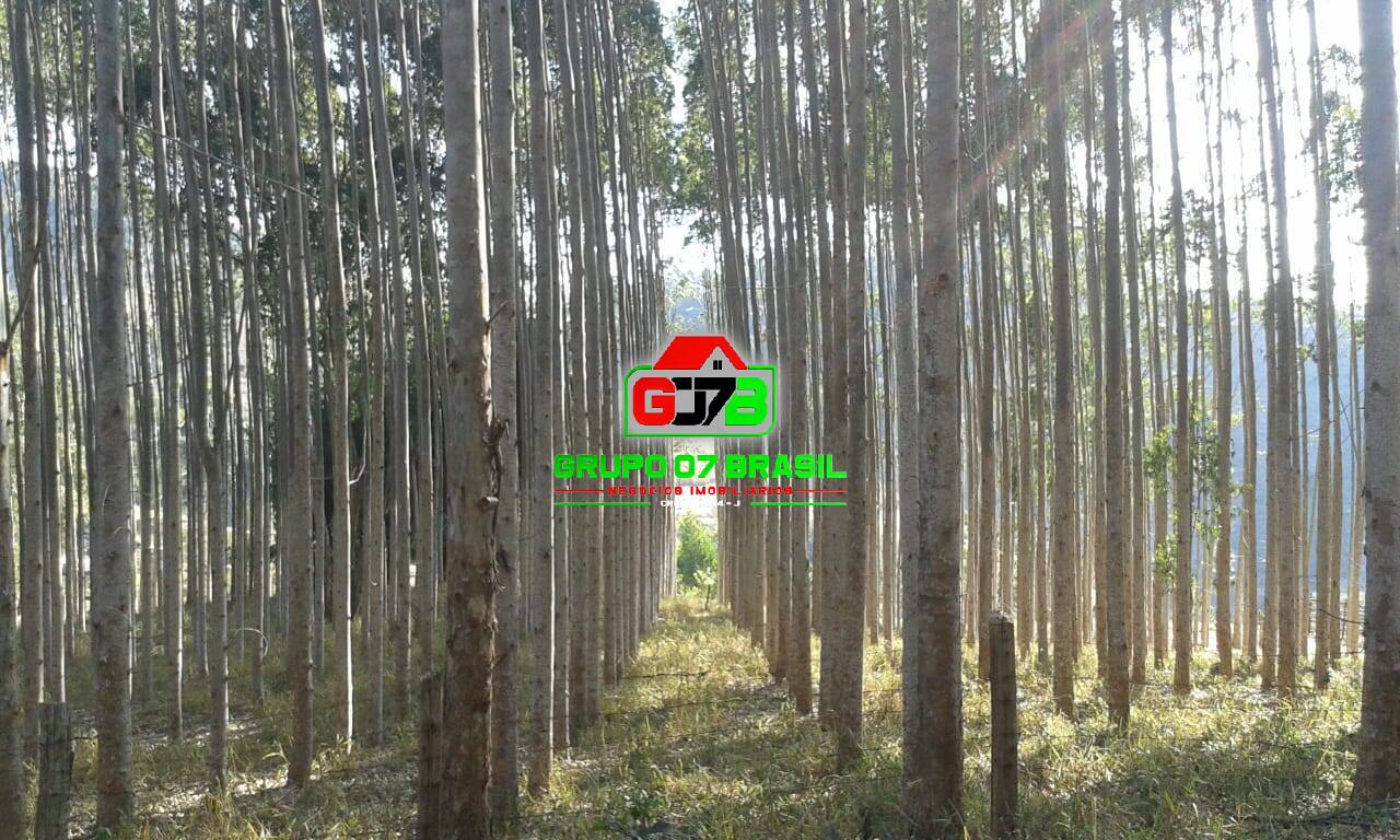 Terreno - Foto 16