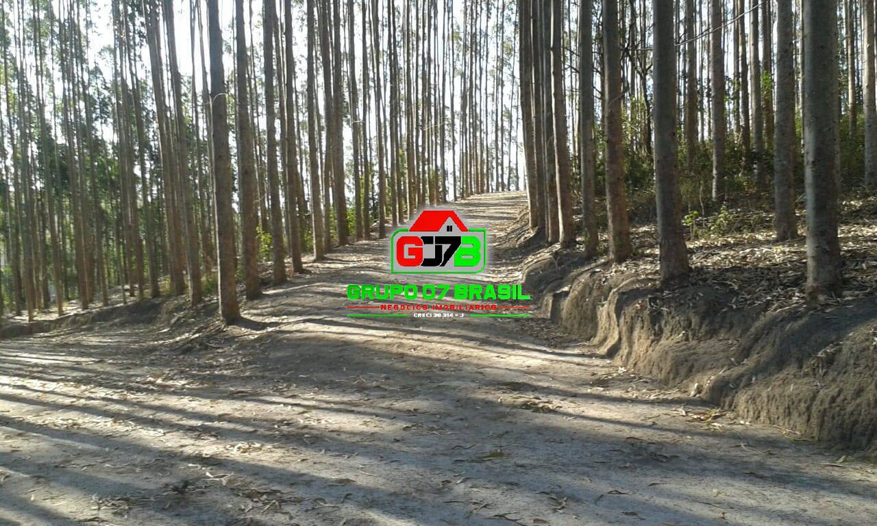Terreno - Foto 19