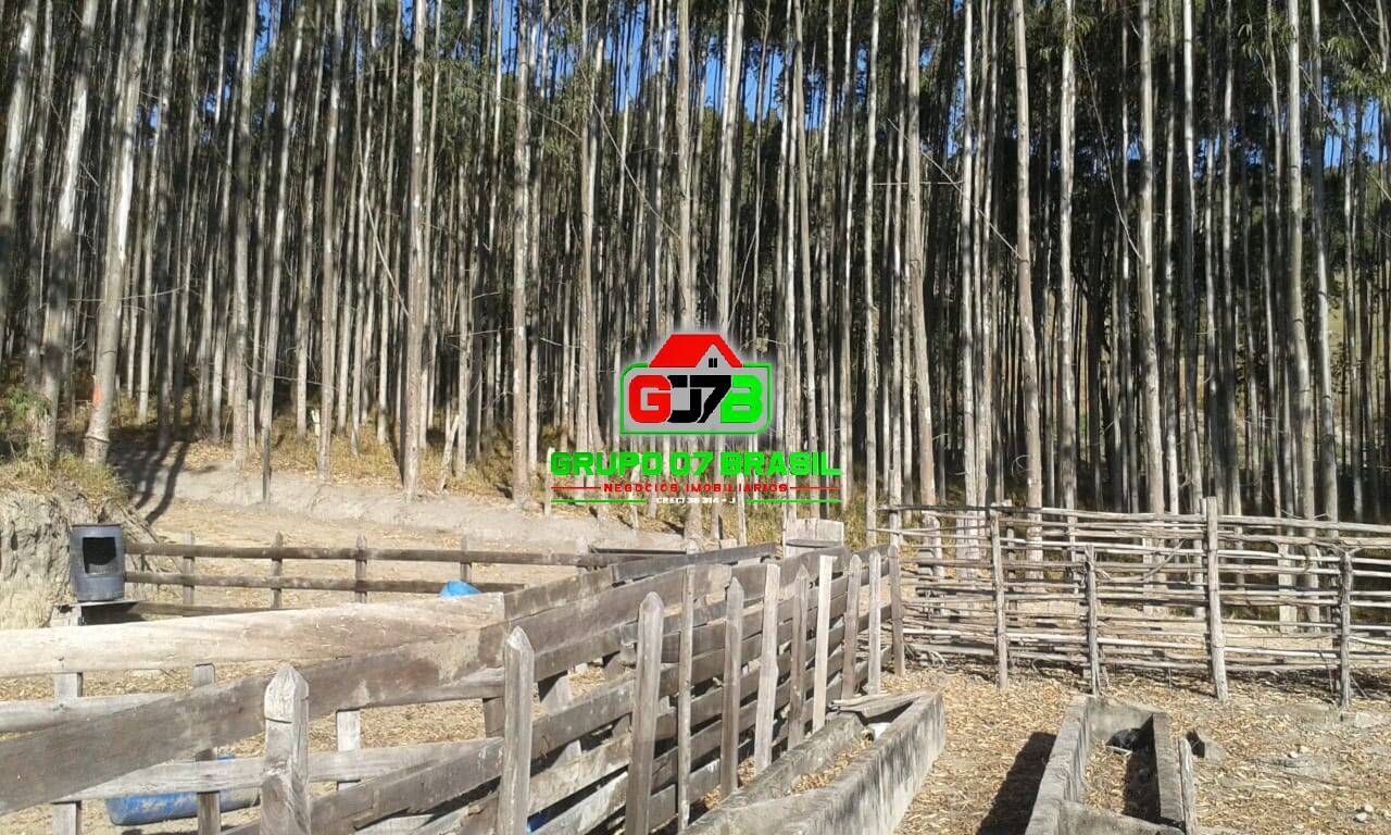 Terreno - Foto 18