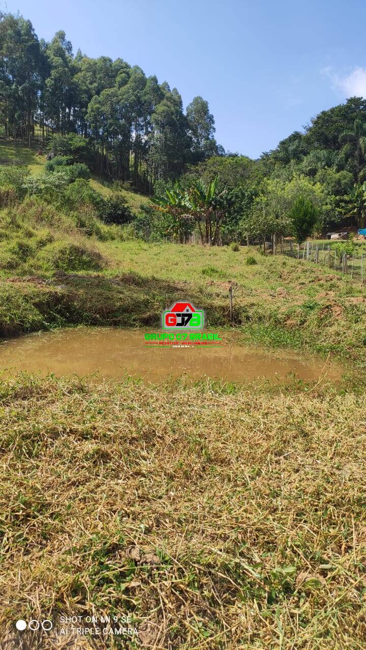 Terreno, 2 hectares - Foto 10