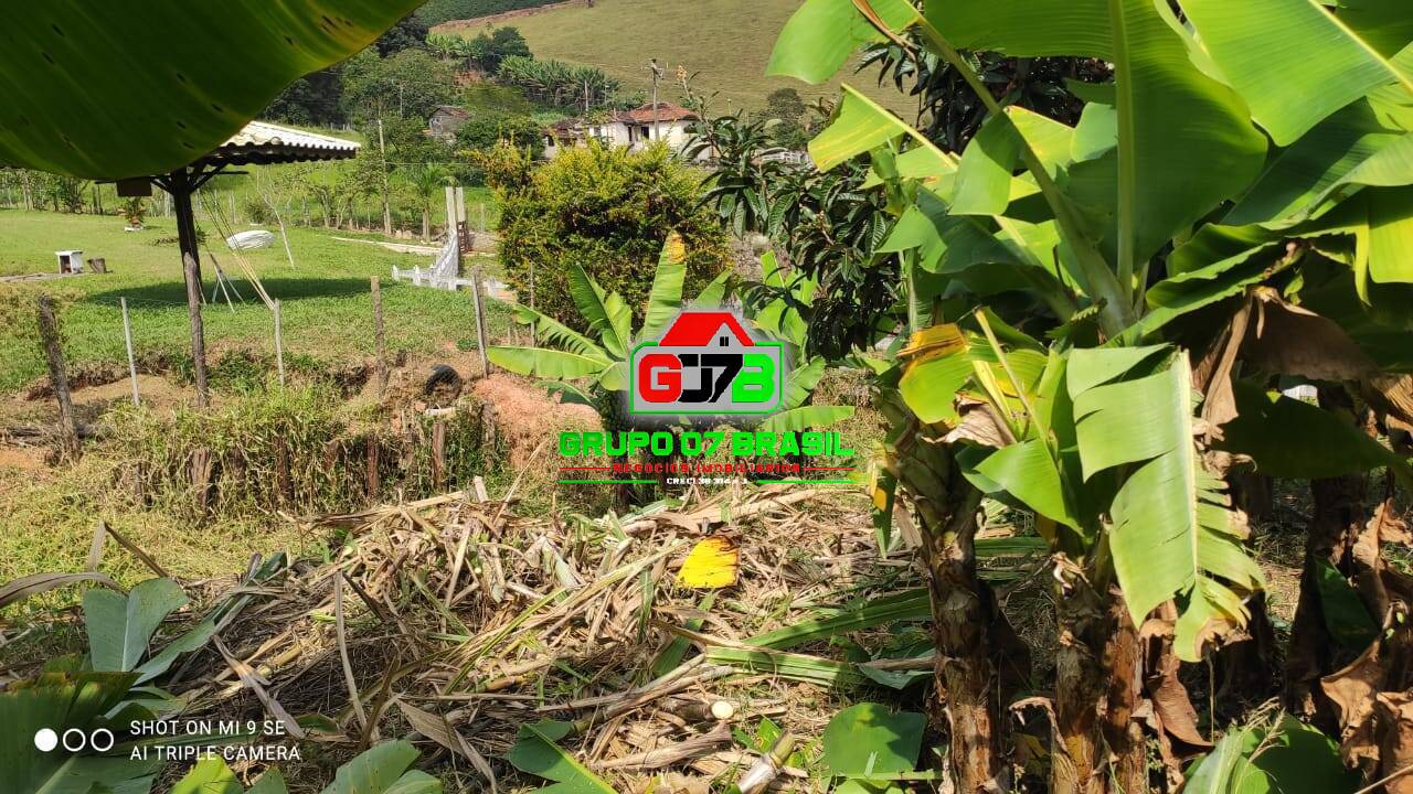 Terreno, 2 hectares - Foto 12