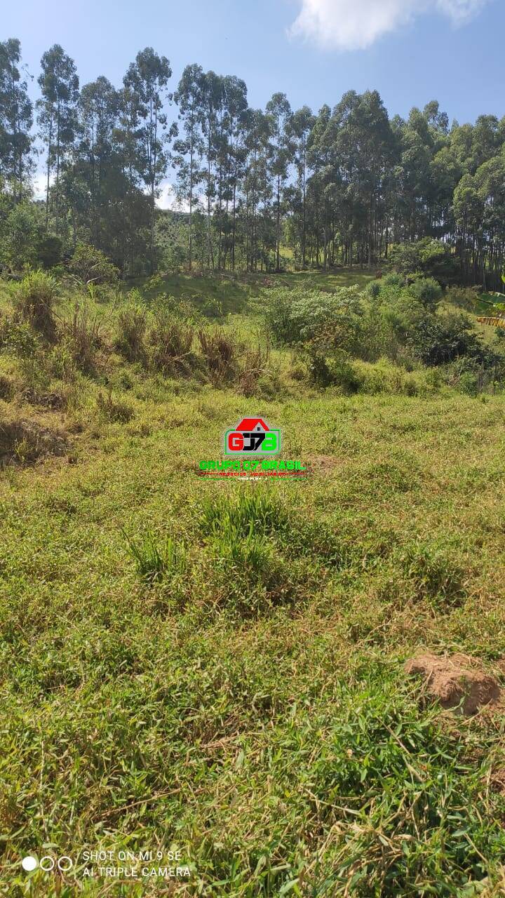 Terreno, 2 hectares - Foto 17
