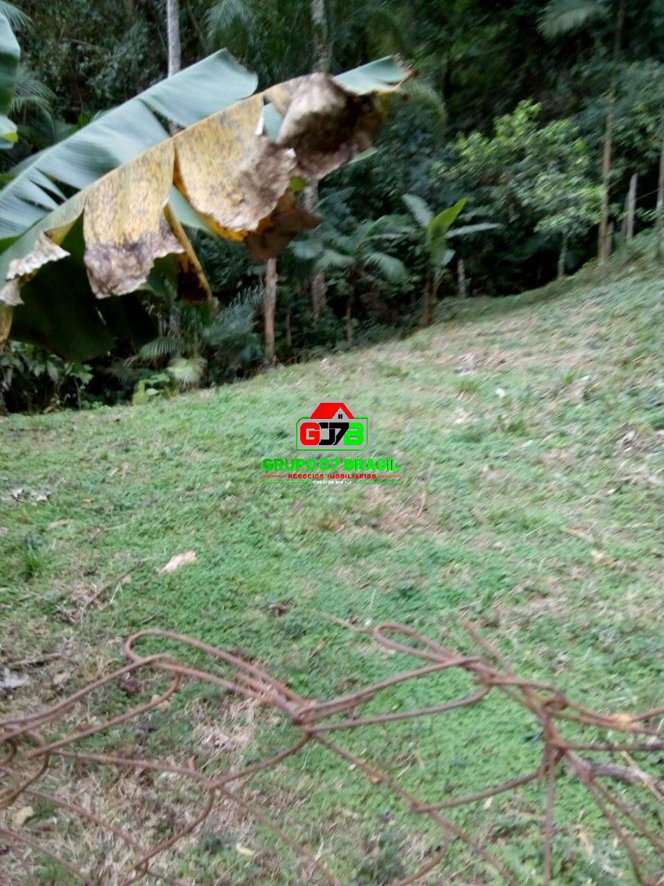 Terreno à venda, 2000m² - Foto 3
