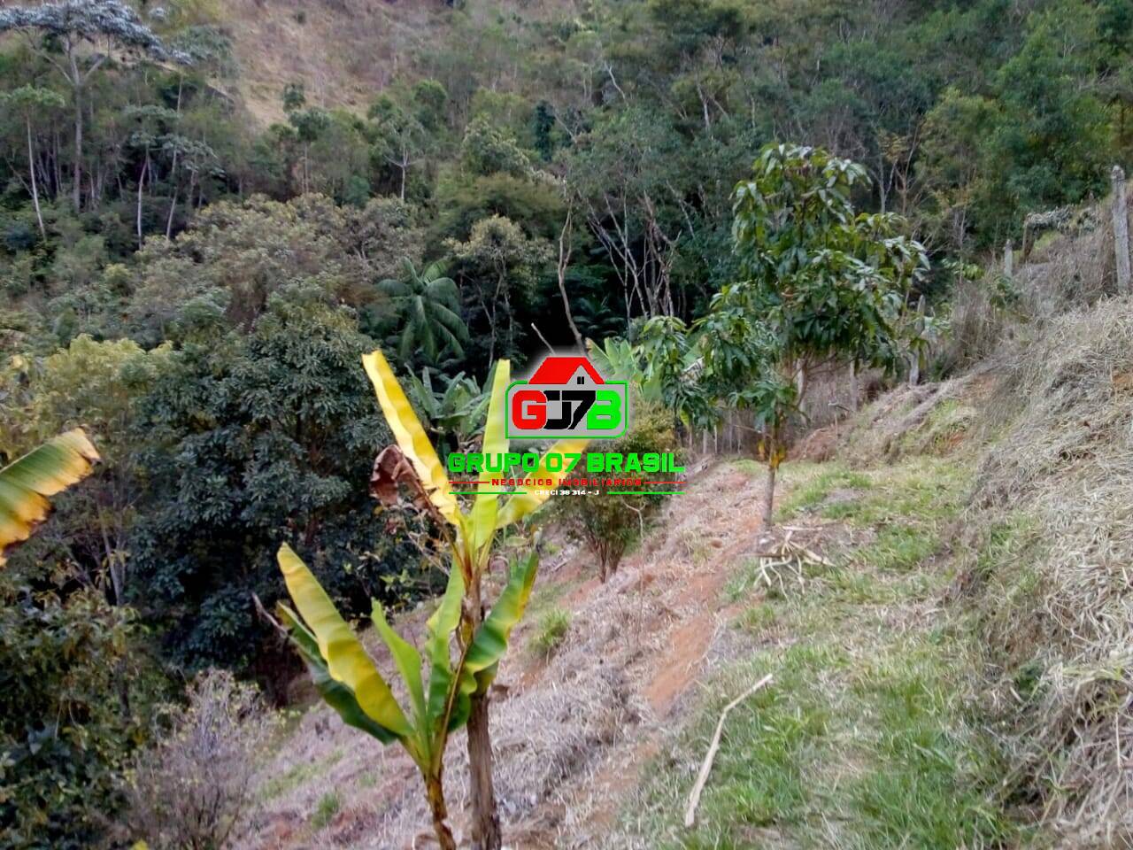 Terreno à venda, 2000m² - Foto 8