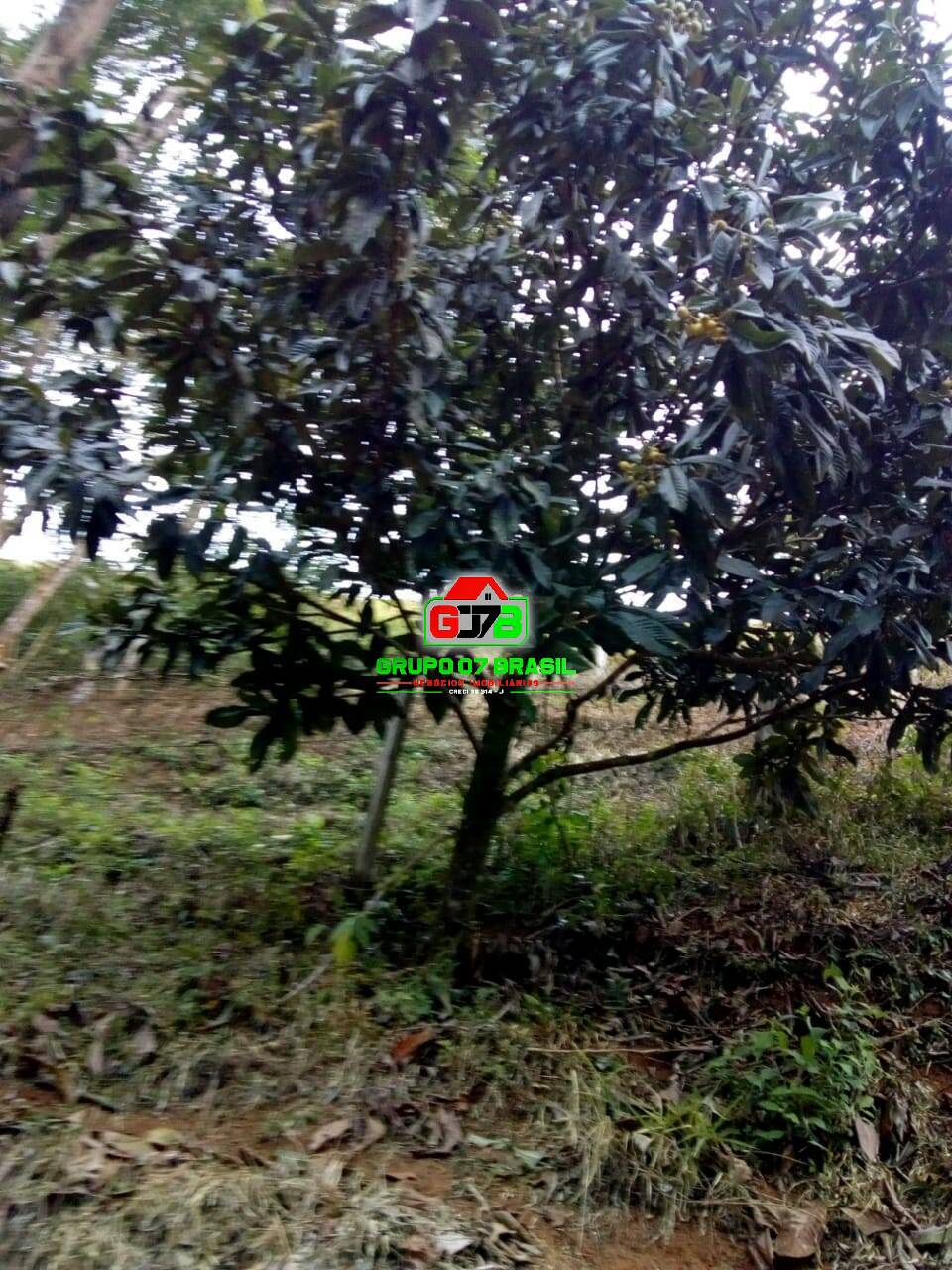 Terreno à venda, 2000m² - Foto 13