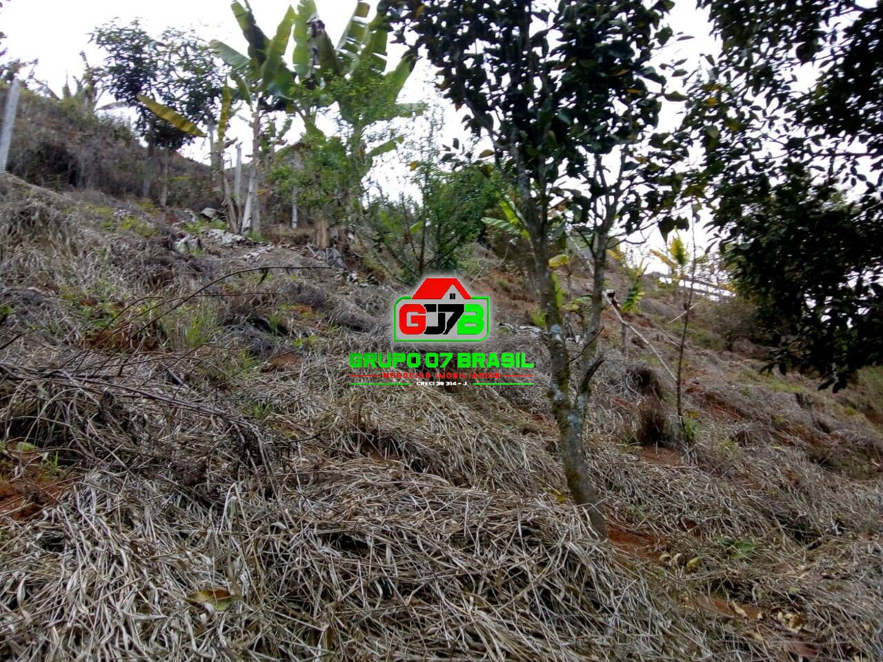 Terreno à venda, 2000m² - Foto 12