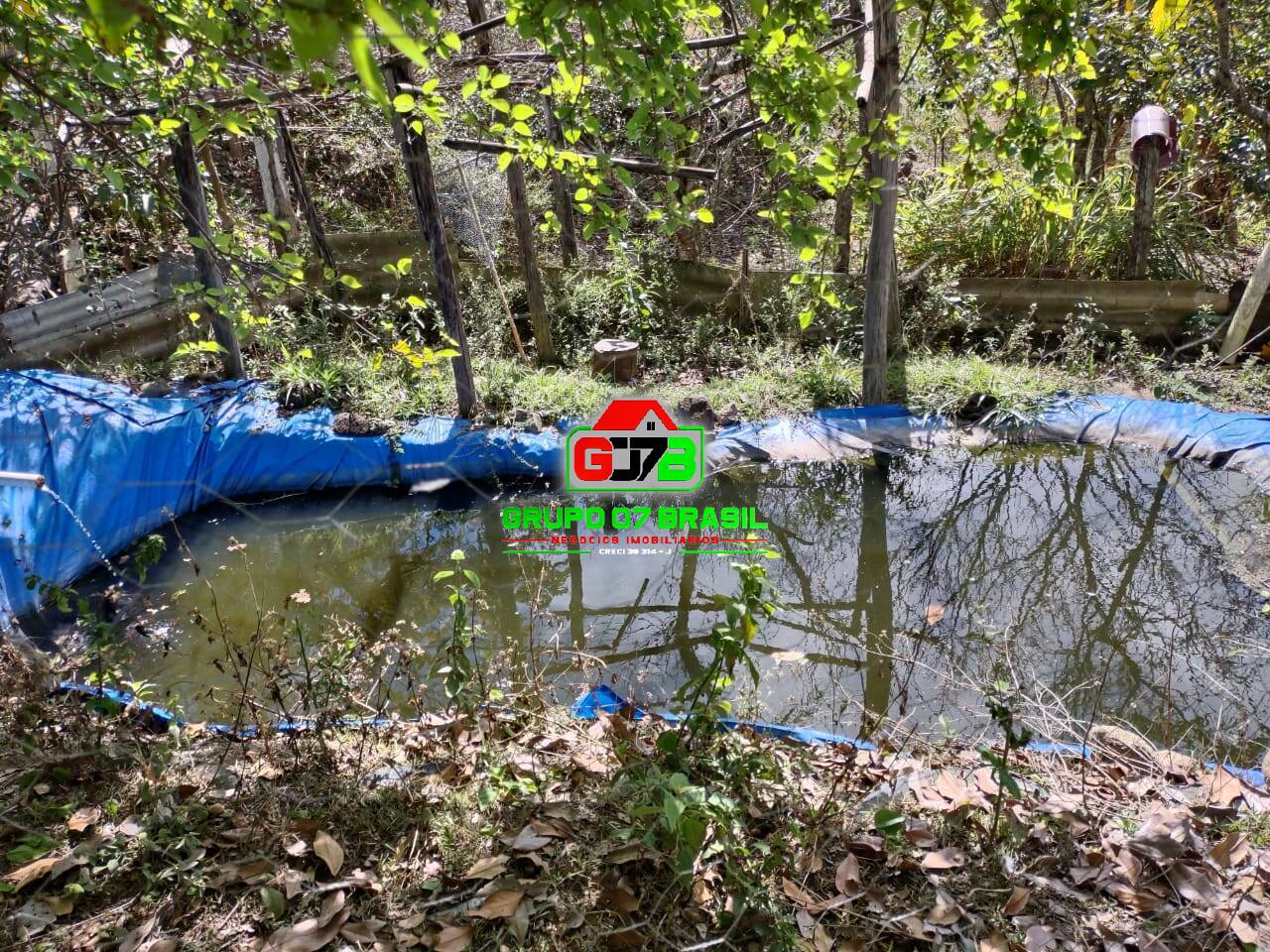 Terreno, 1 hectares - Foto 13