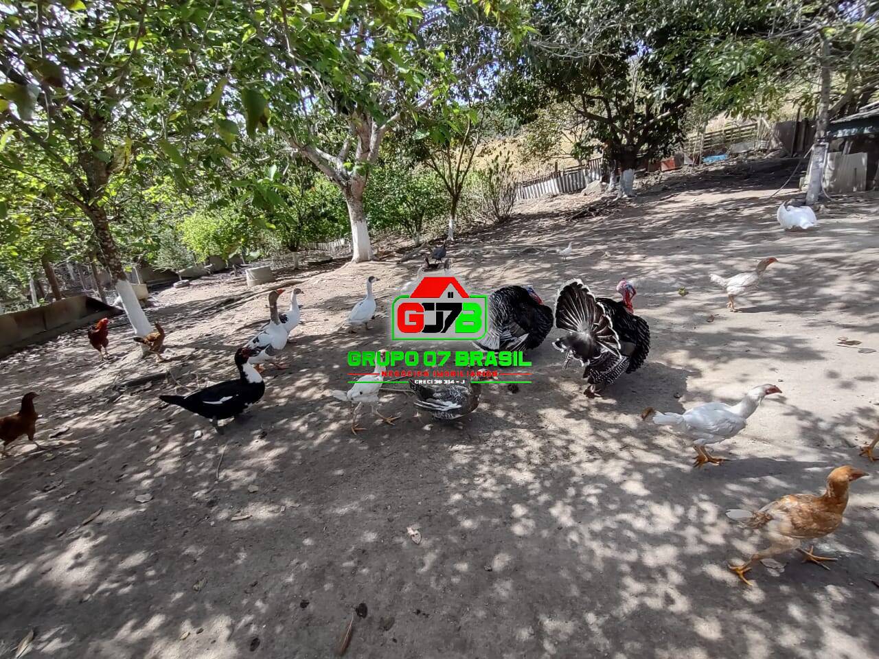 Terreno, 1 hectares - Foto 3