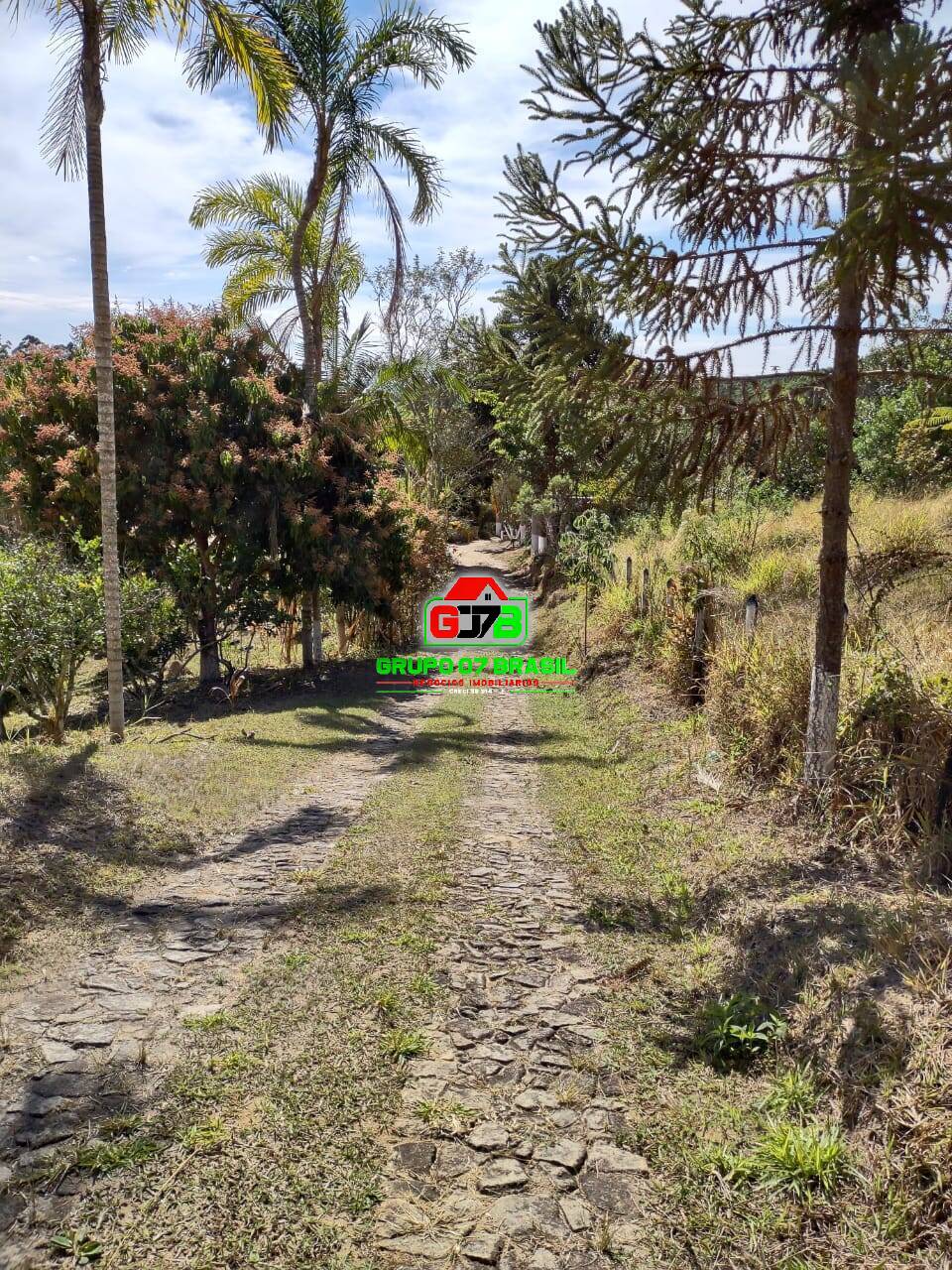 Terreno, 1 hectares - Foto 1