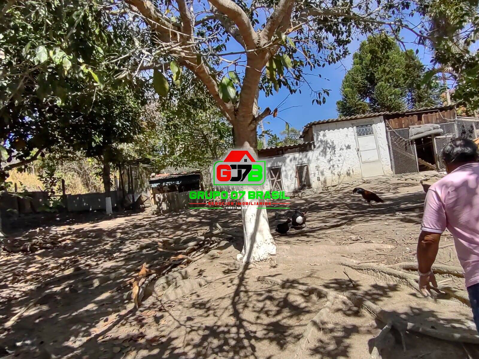 Terreno, 1 hectares - Foto 12