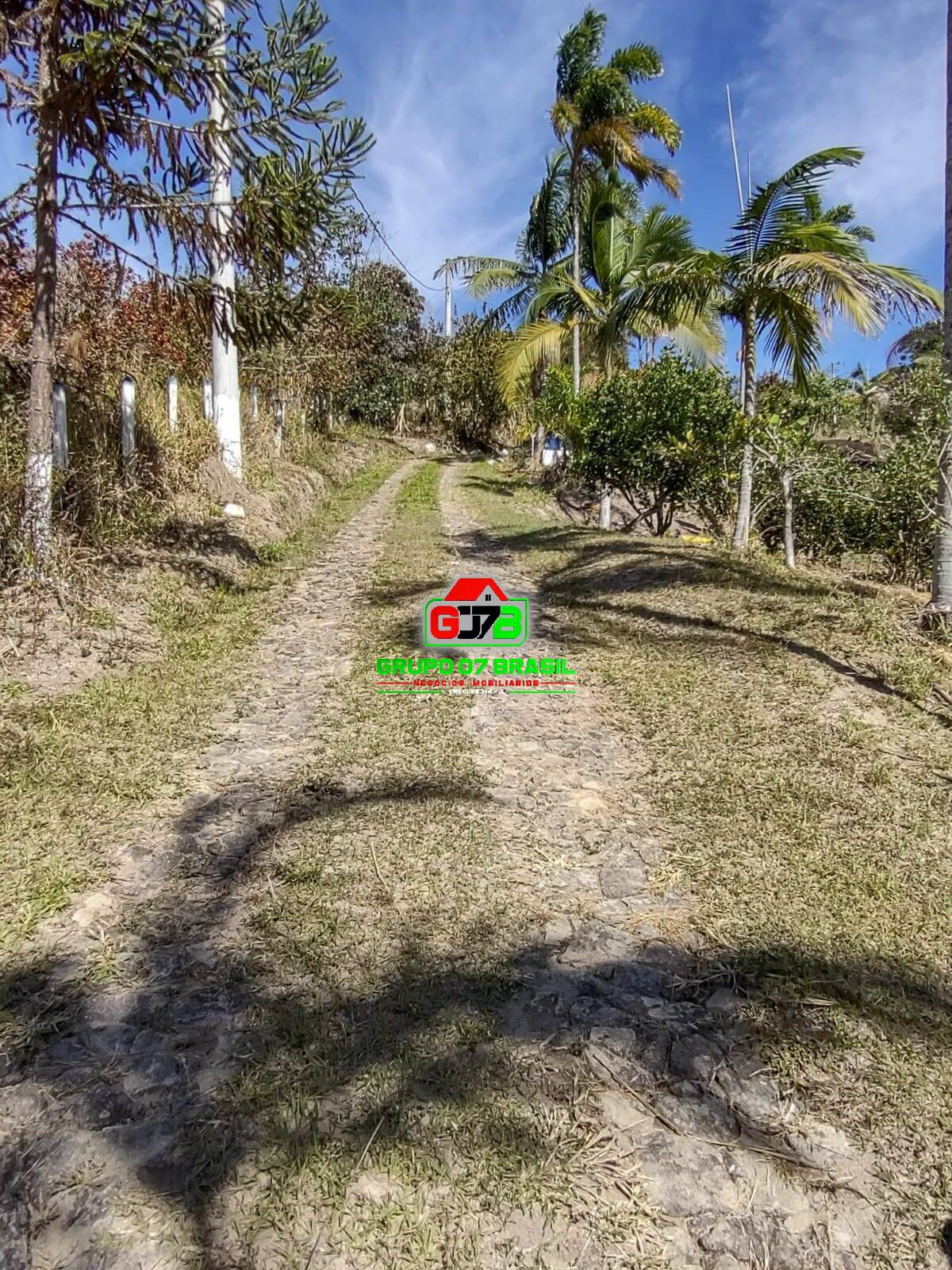 Terreno, 1 hectares - Foto 7