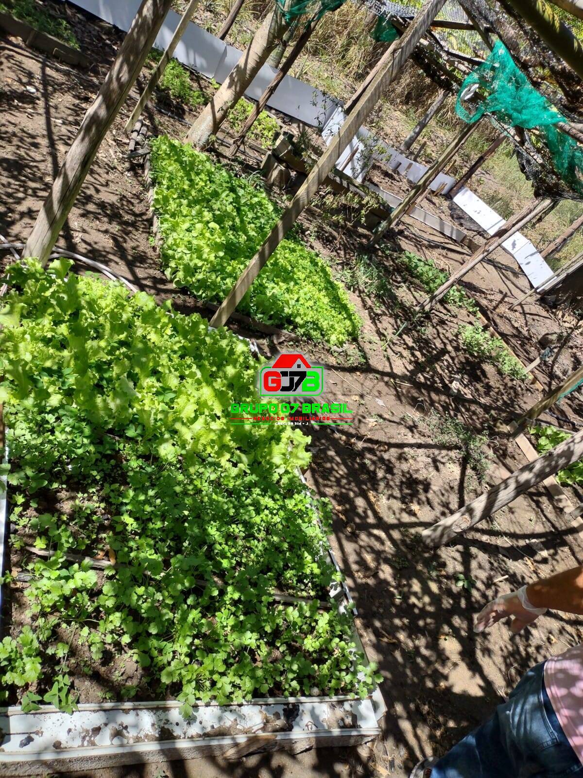 Terreno, 1 hectares - Foto 8