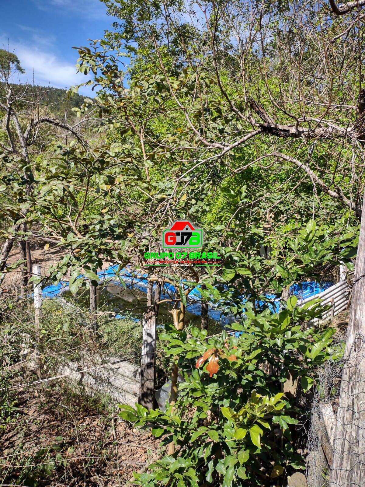 Terreno, 1 hectares - Foto 22