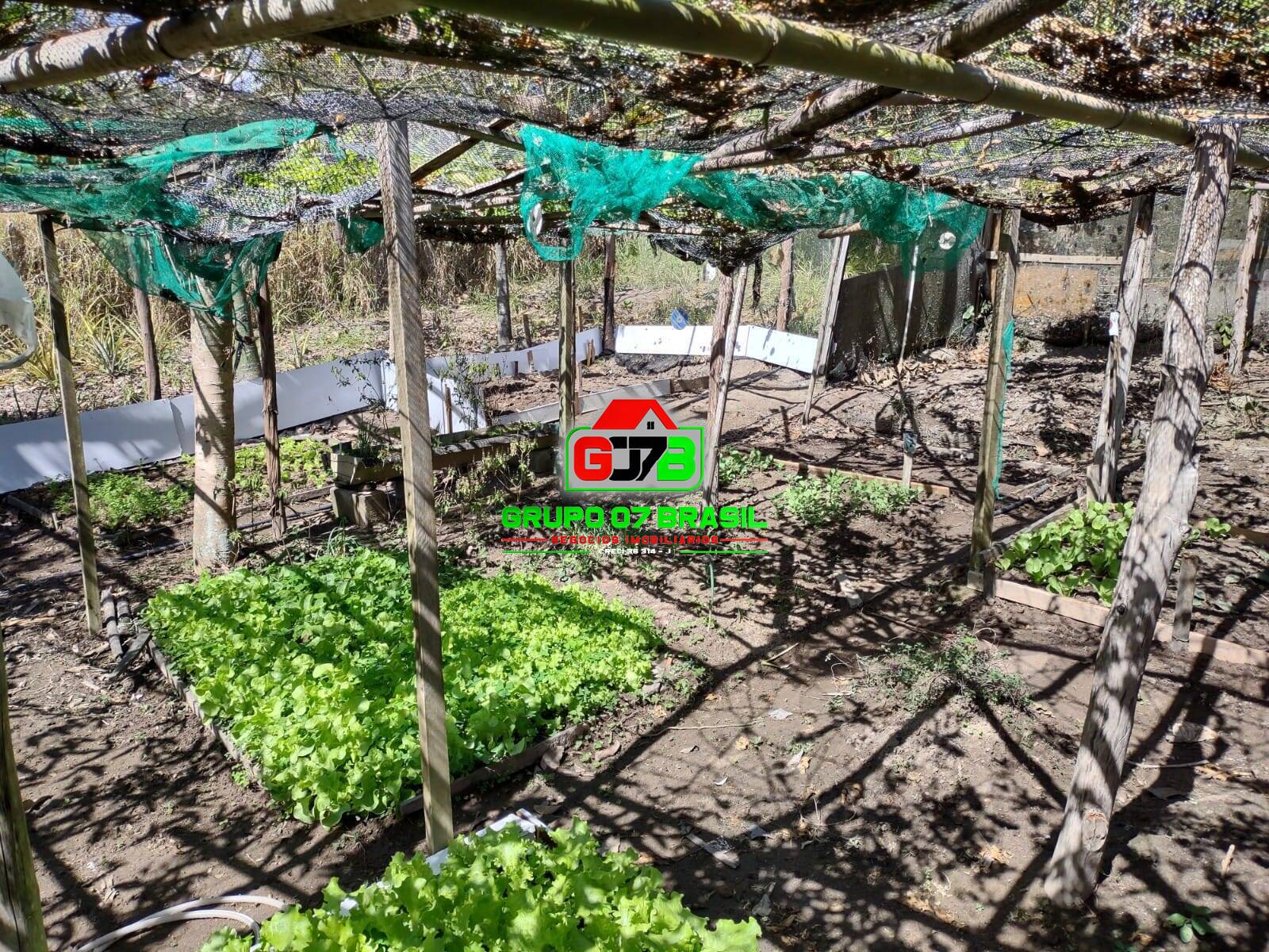 Terreno, 1 hectares - Foto 24