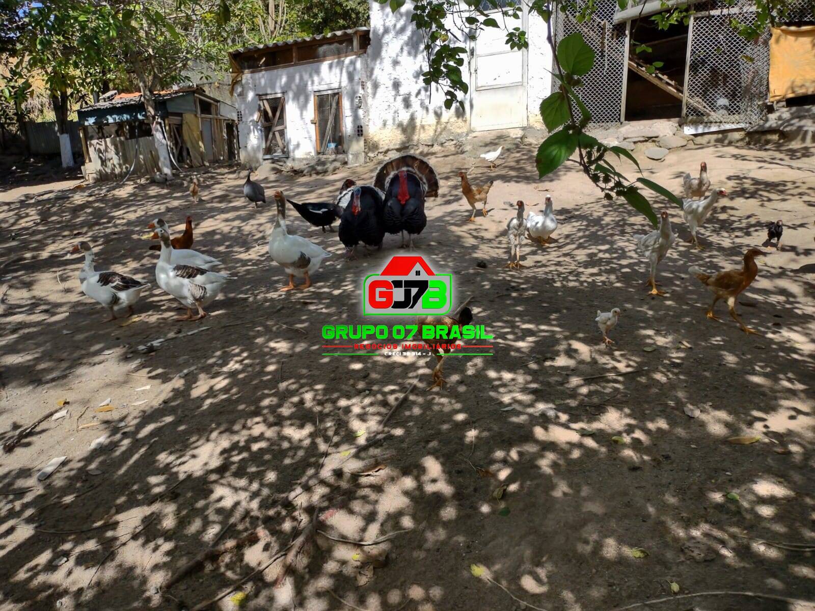 Terreno, 1 hectares - Foto 38