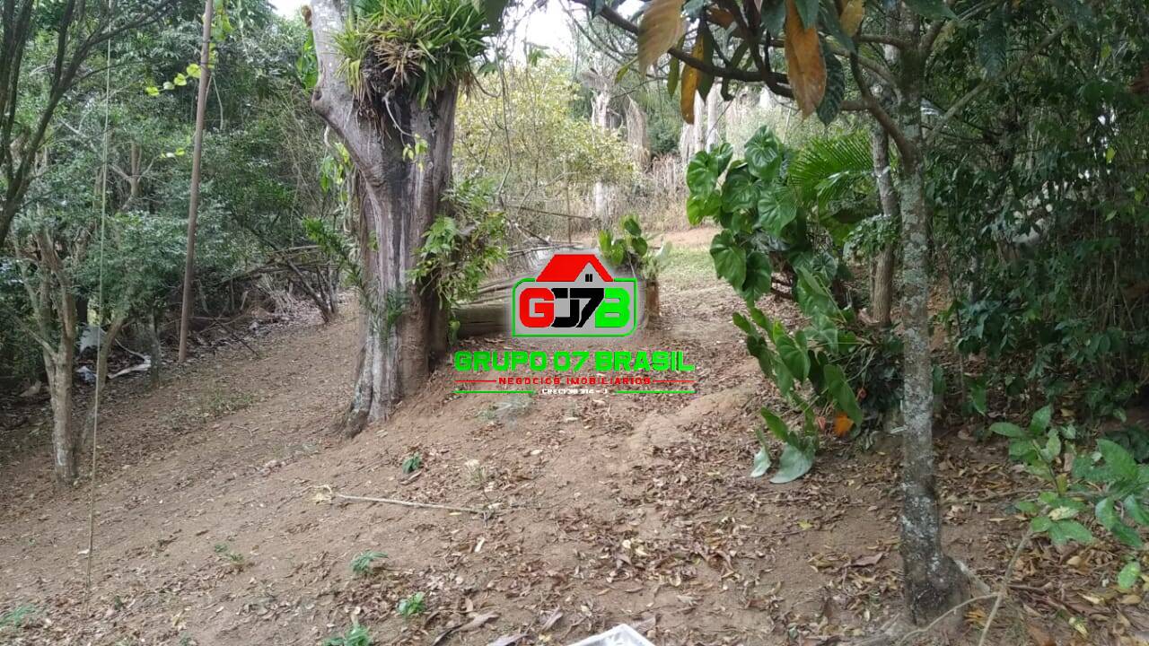 Terreno, 2600 m² - Foto 6