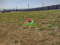 Terreno, 308 m² - Foto 1
