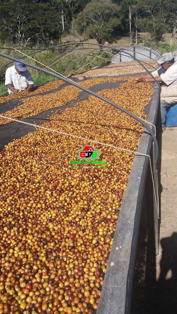 Terreno, 487 m² - Foto 4