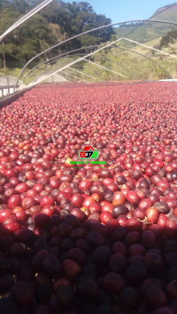 Terreno, 487 m² - Foto 5