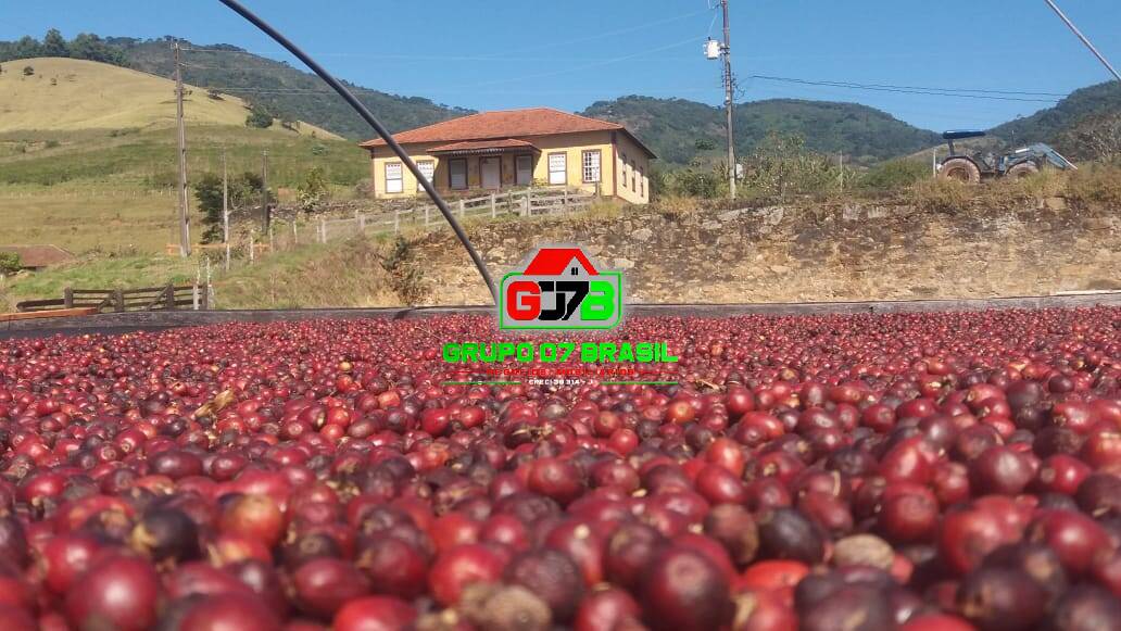 Terreno, 487 m² - Foto 1