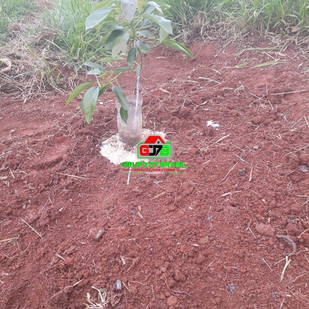 Terreno, 487 m² - Foto 7