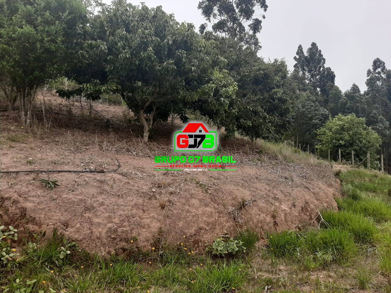 Terreno à venda, 15000m² - Foto 22