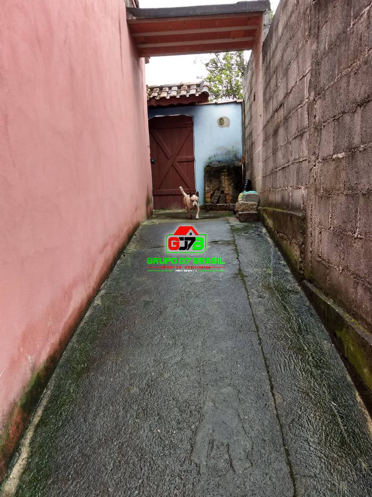 Fazenda à venda com 4 quartos, 150m² - Foto 9