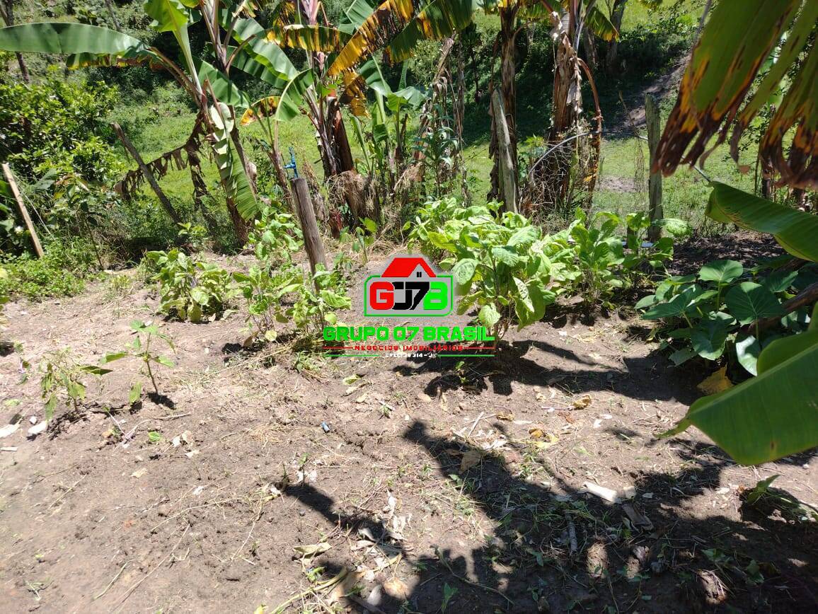 Terreno à venda com 3 quartos, 3m² - Foto 9