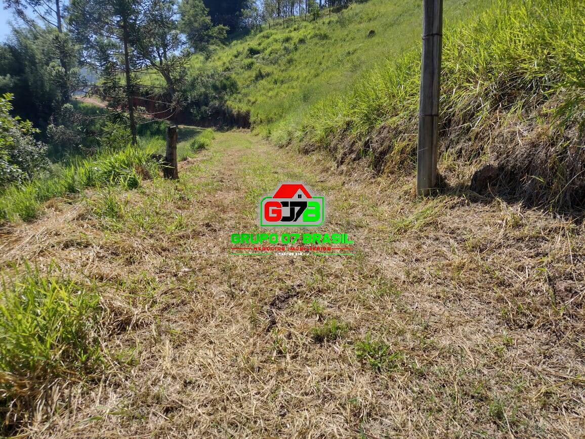 Terreno à venda com 3 quartos, 3m² - Foto 13