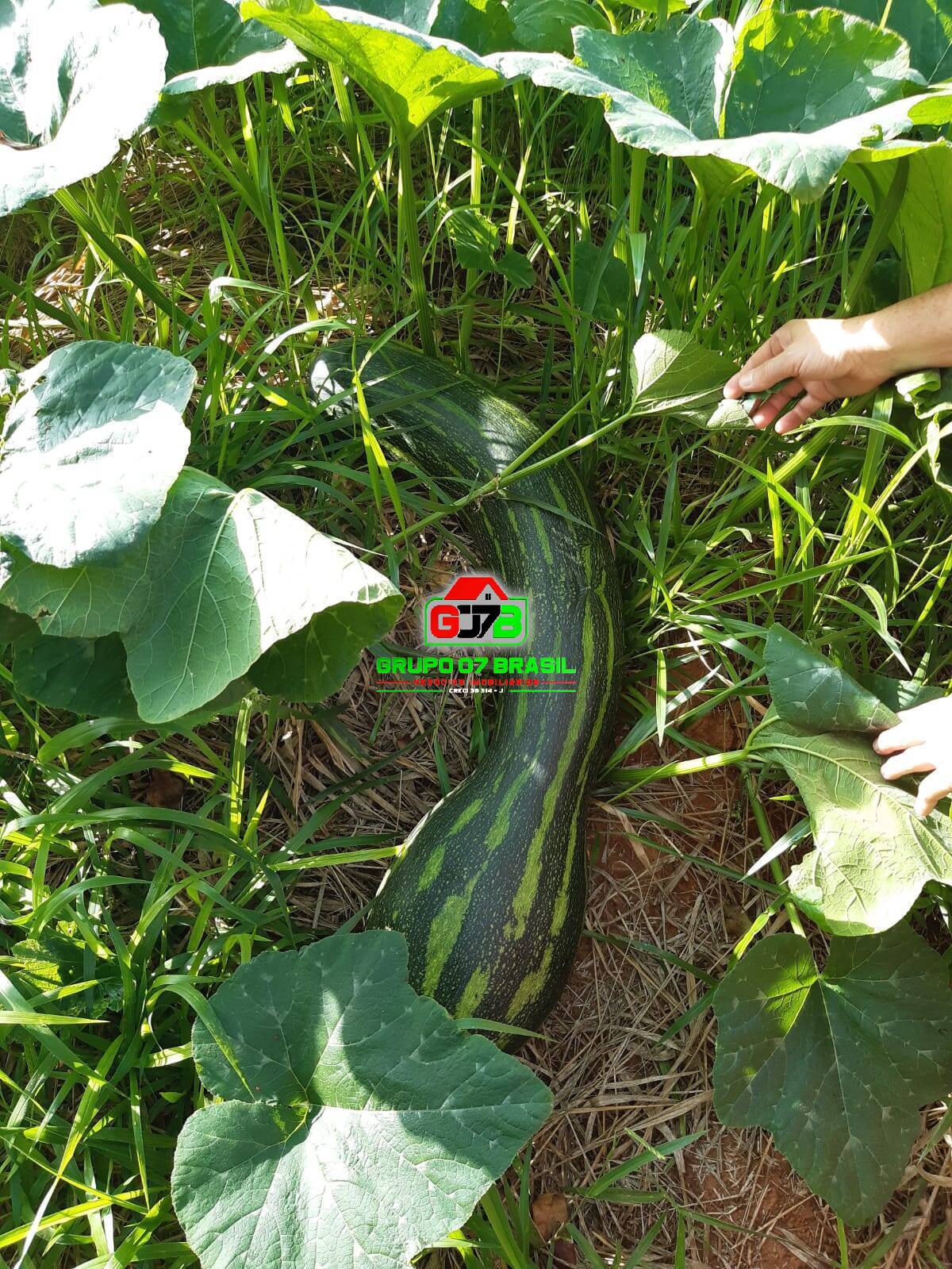 Terreno, 24 m² - Foto 30