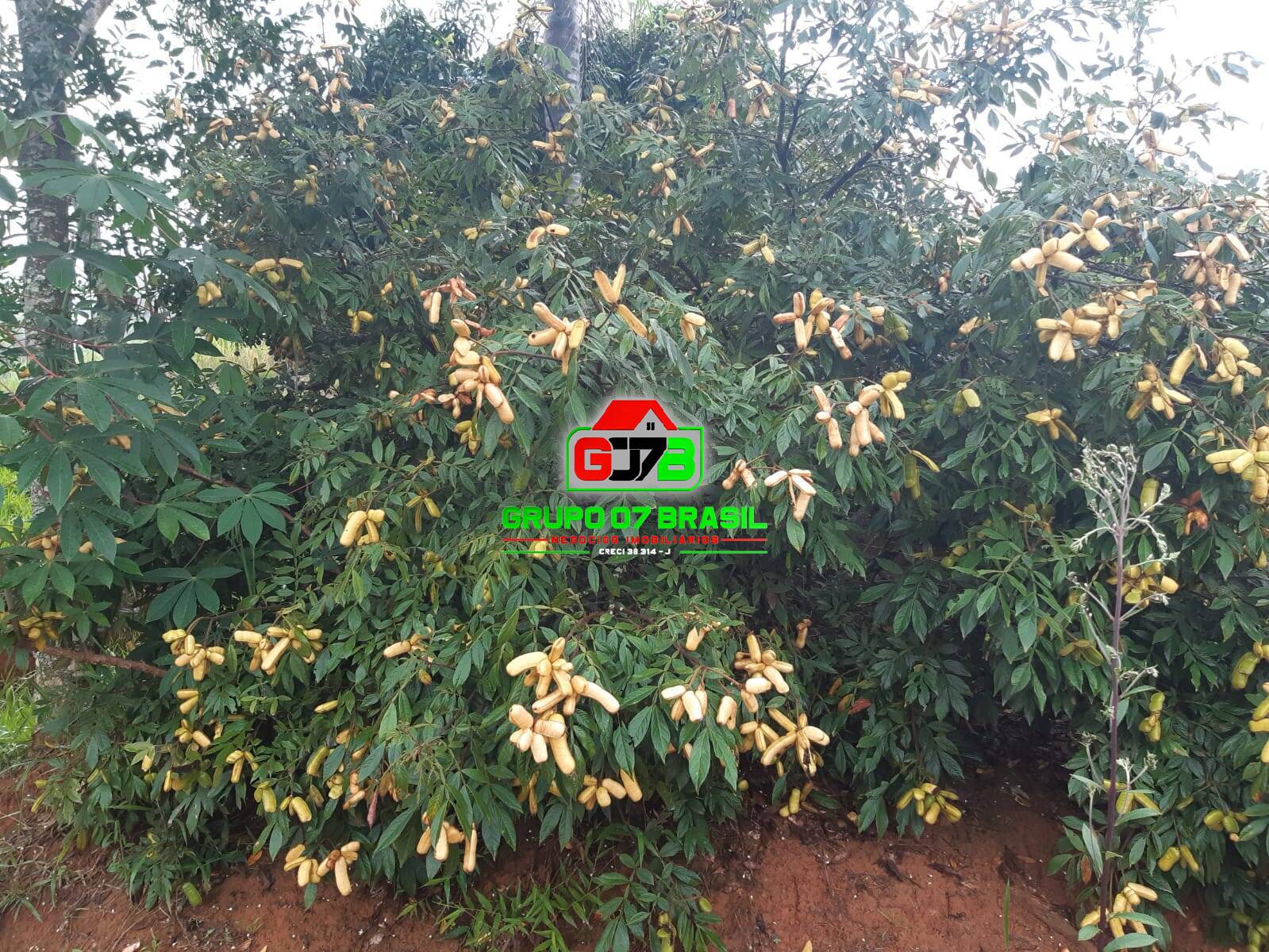 Terreno, 24 m² - Foto 33