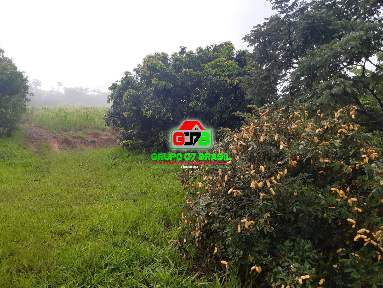 Terreno, 24 m² - Foto 23