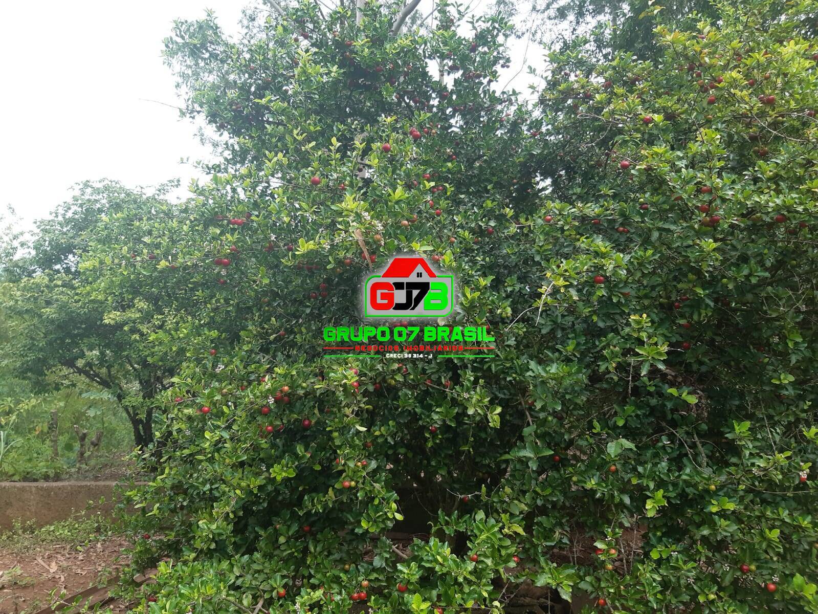 Terreno, 24 m² - Foto 34