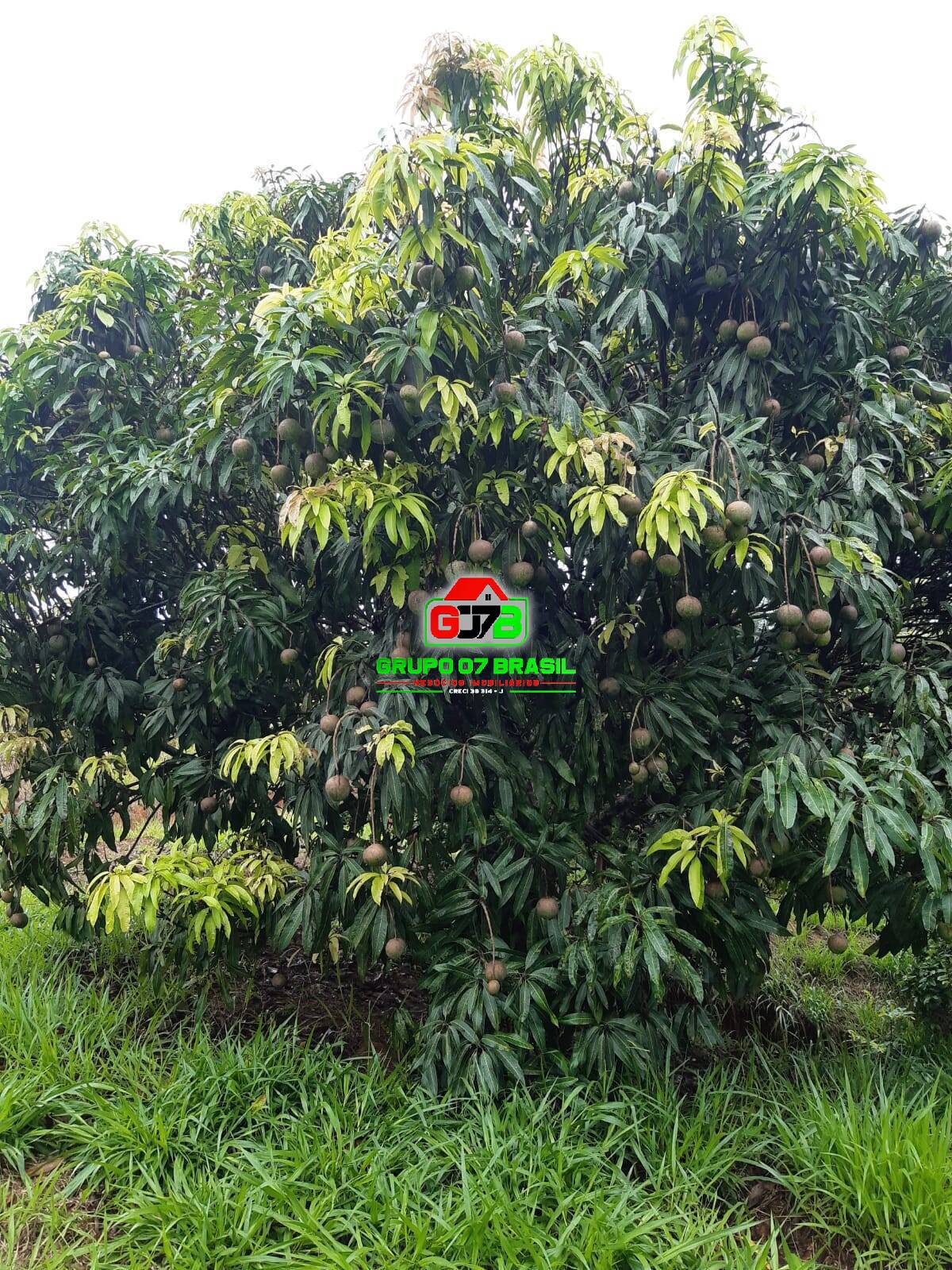 Terreno, 24 m² - Foto 38