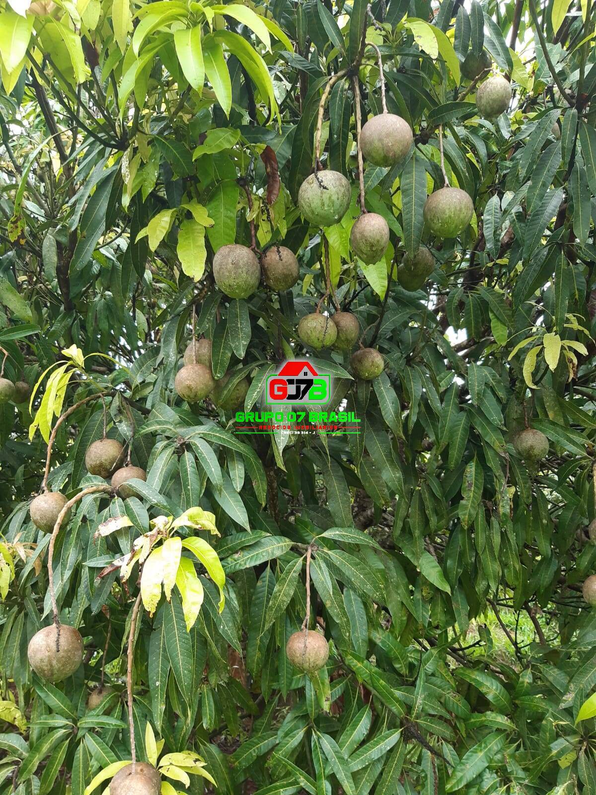 Terreno, 24 m² - Foto 37