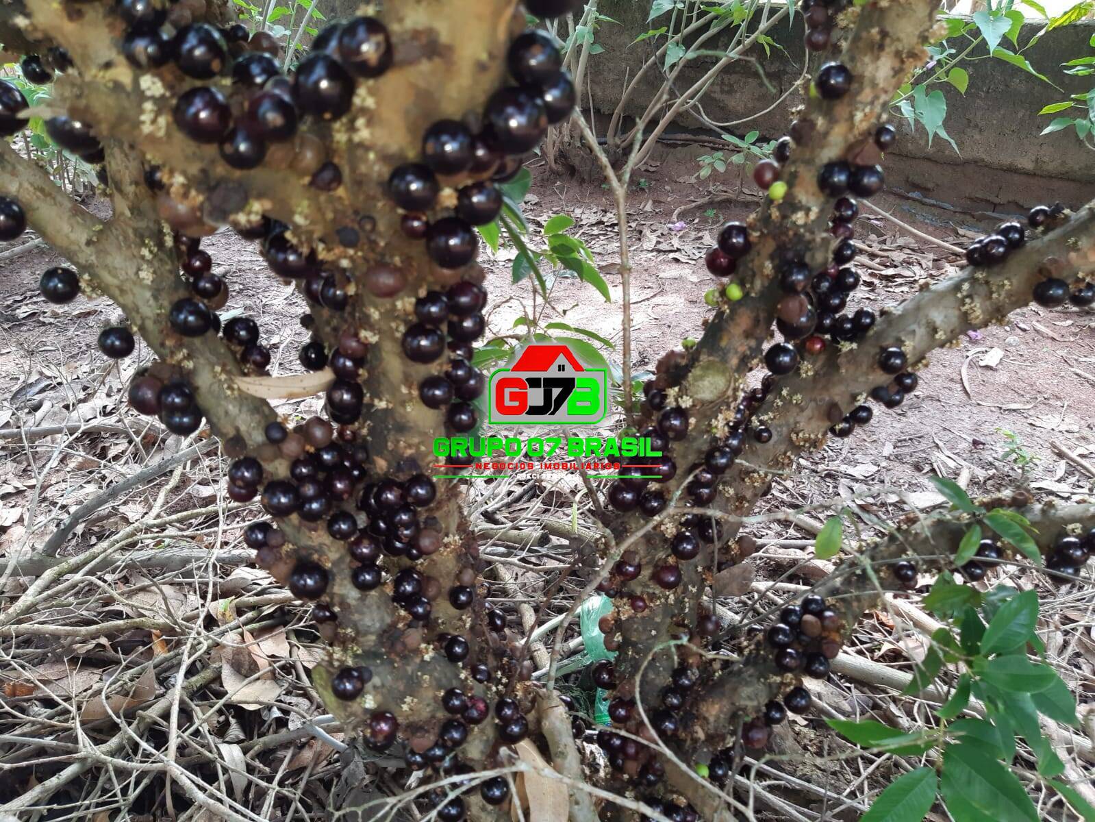 Terreno, 24 m² - Foto 39