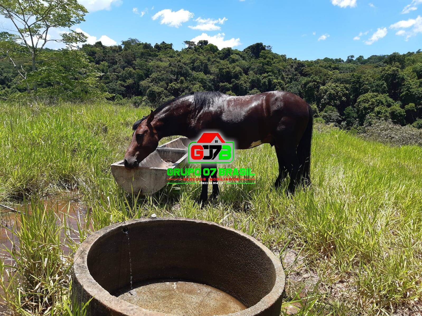 Terreno, 24 m² - Foto 41