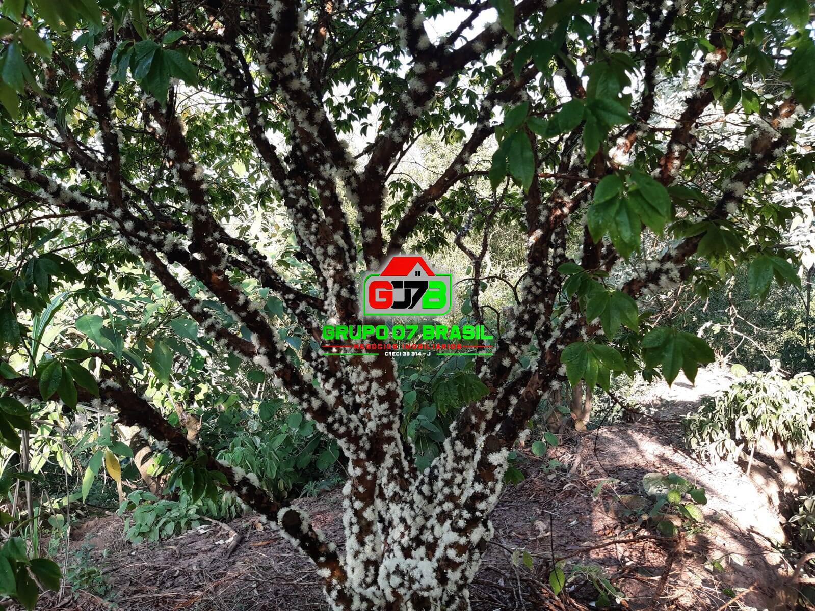 Terreno, 24 m² - Foto 42