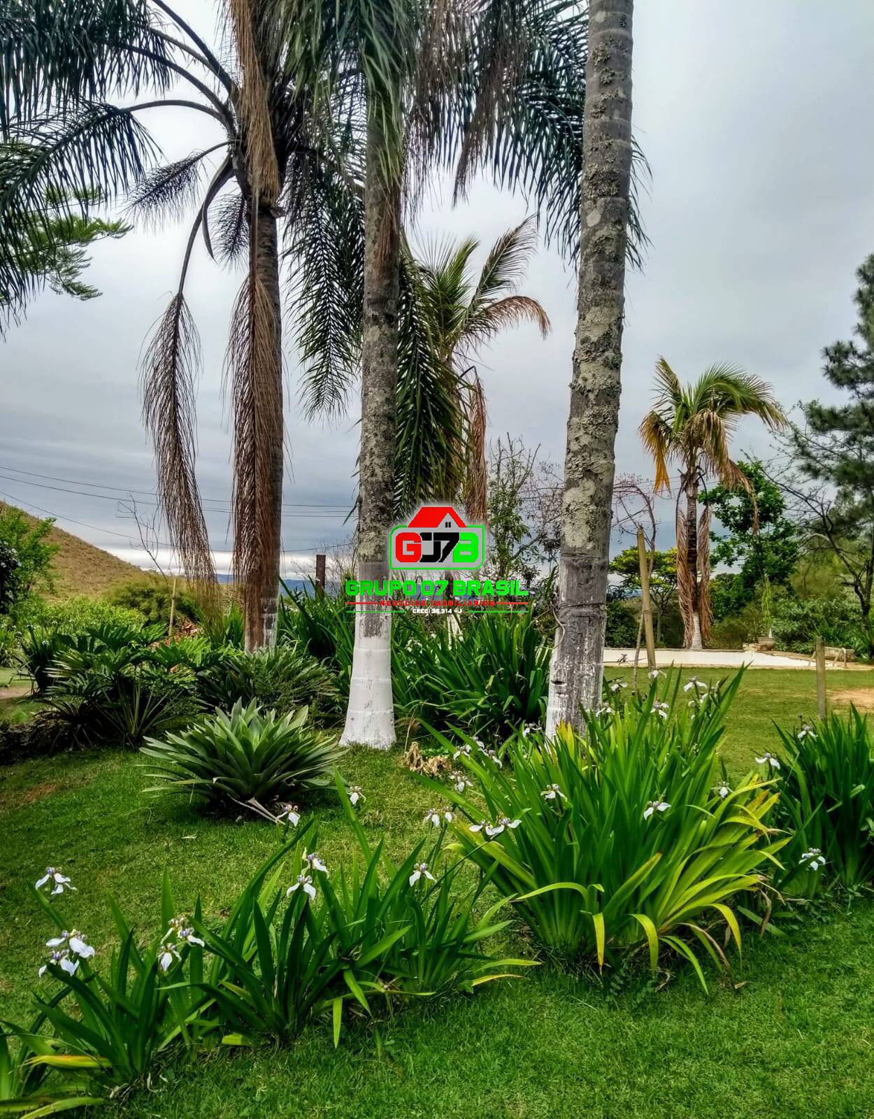 Terreno à venda, 164m² - Foto 2