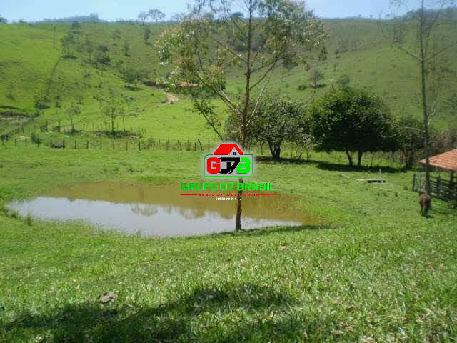Terreno à venda, 30000m² - Foto 1